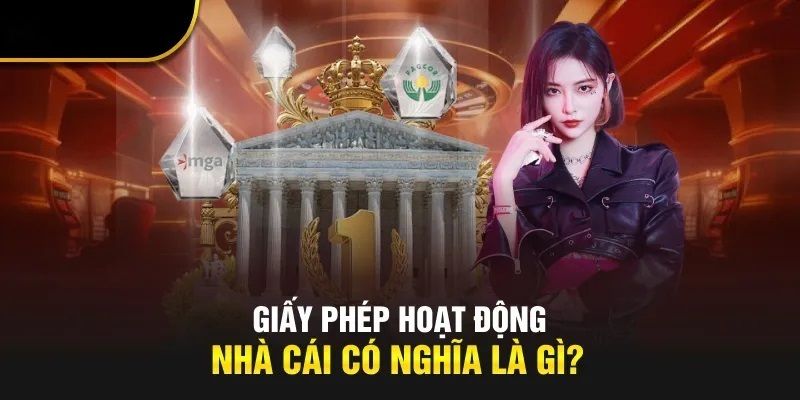 giay-phep-hoat-dong